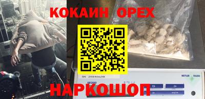 молекула духа Новозыбков
