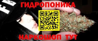 хмурый Новокубанск