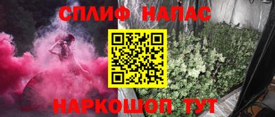 молекула духа Новозыбков