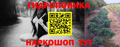 хмурый Новокубанск