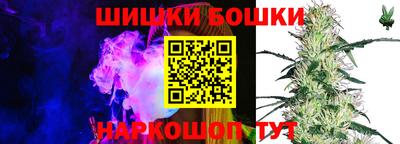 молекула духа Новозыбков
